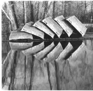 Boats Like Turtles