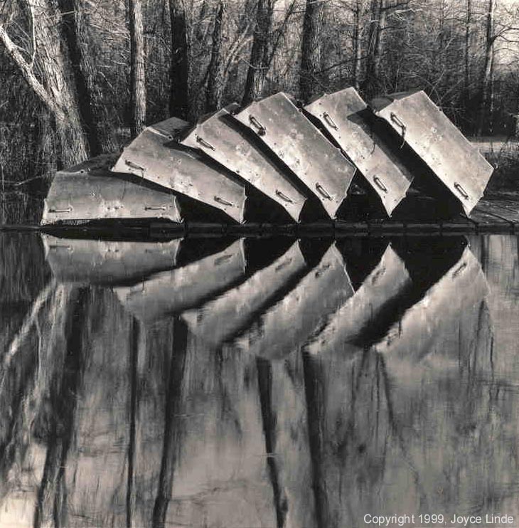 Boats Like Turtles