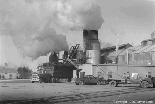 St. Mary Co-Op